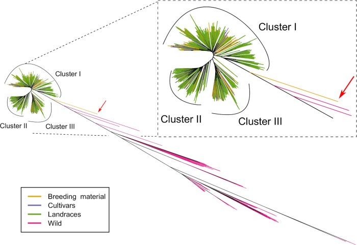 Extended Data Fig. 7