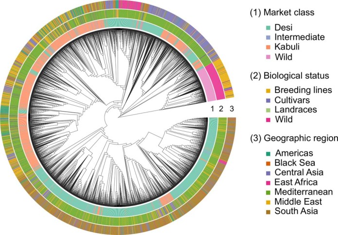 Extended Data Fig. 1