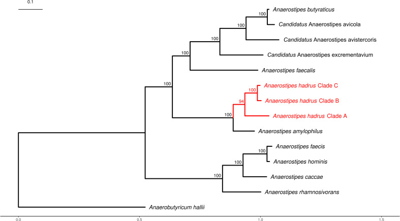 Fig 2