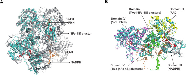 Fig 4