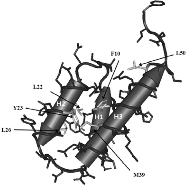 Fig. 3.