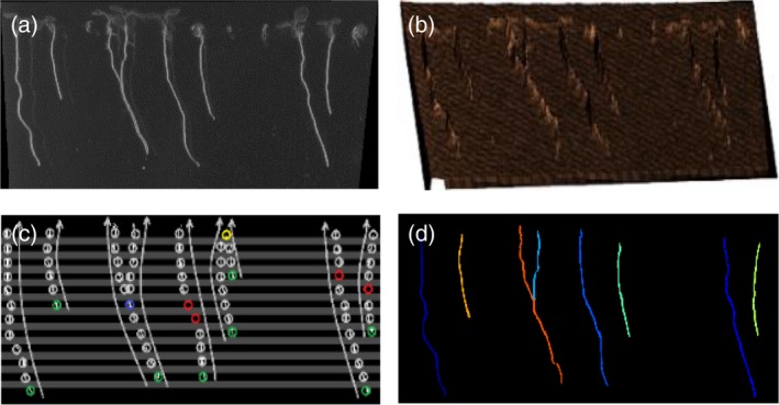 Figure 2