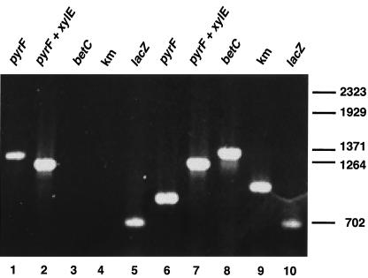 FIG. 5.