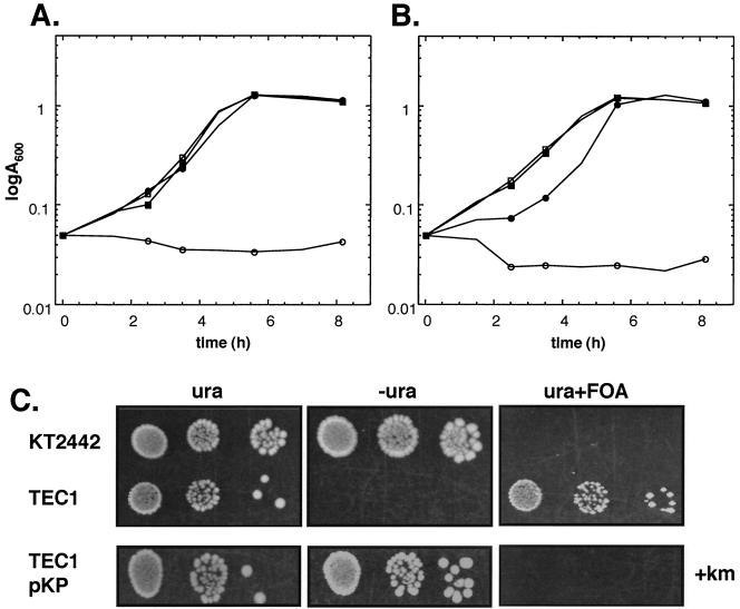 FIG. 2.