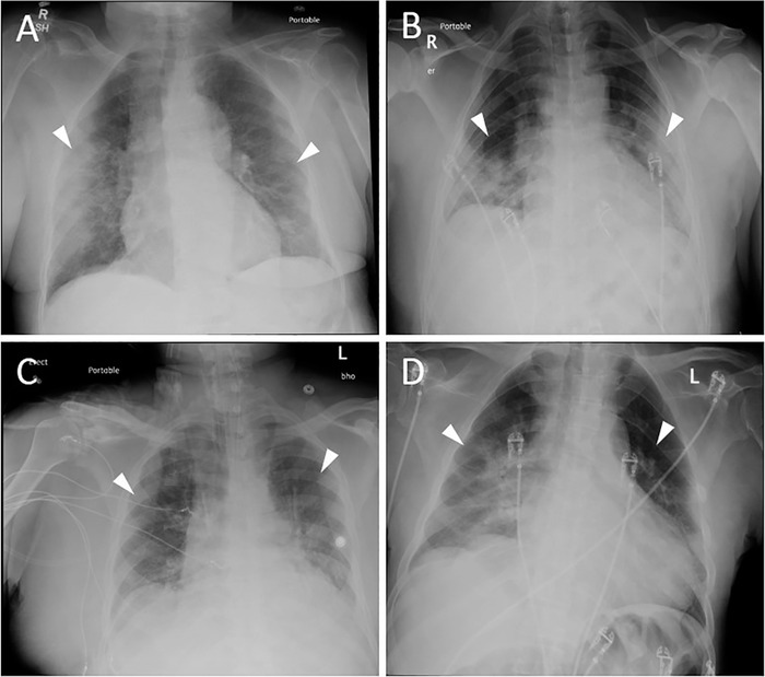 Figure 1.