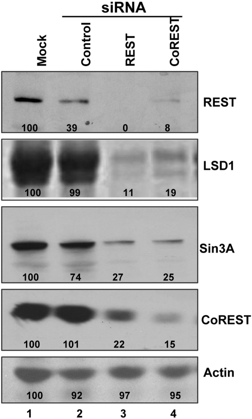 FIG 1 