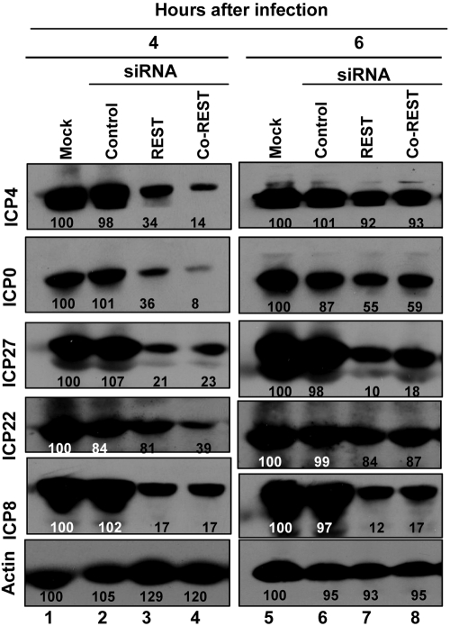 FIG 2 