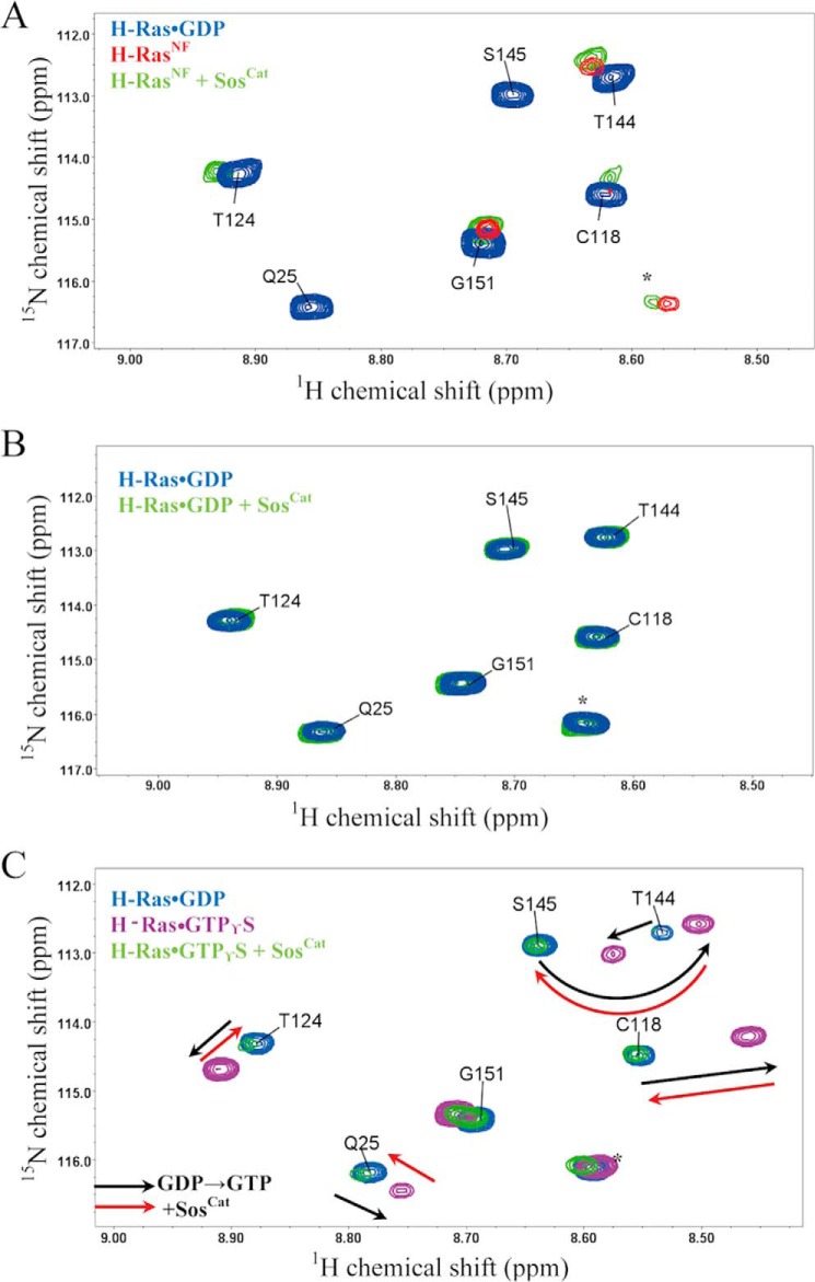 FIGURE 3.