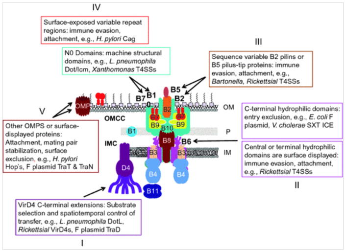 Fig. 2