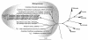 FIG. 1.