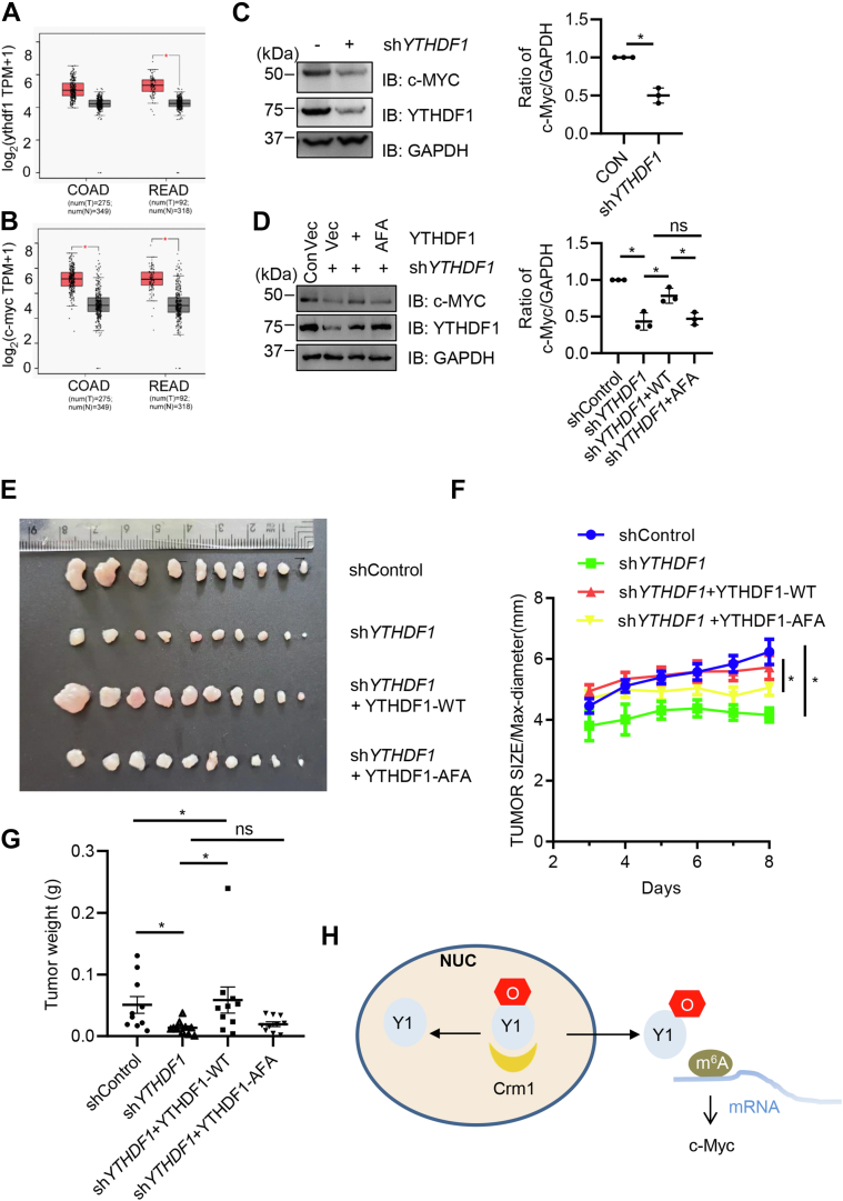 Figure 6