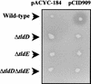 FIG. 2.