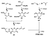 Scheme 19