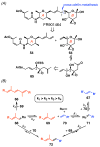 Scheme 13