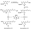 Scheme 9