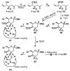 Scheme 12