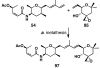 Scheme 22