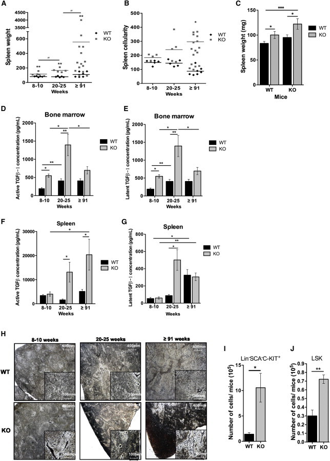 Figure 6