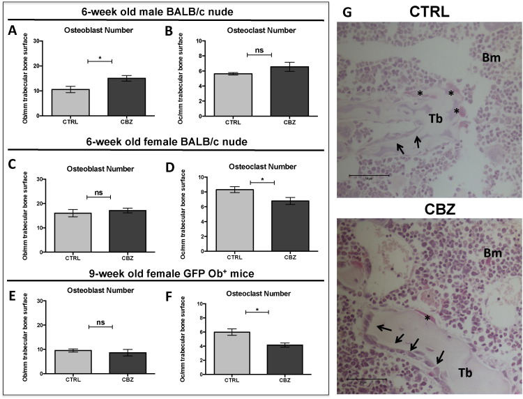 Fig. 3