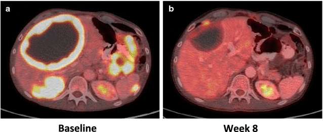 Fig. 4