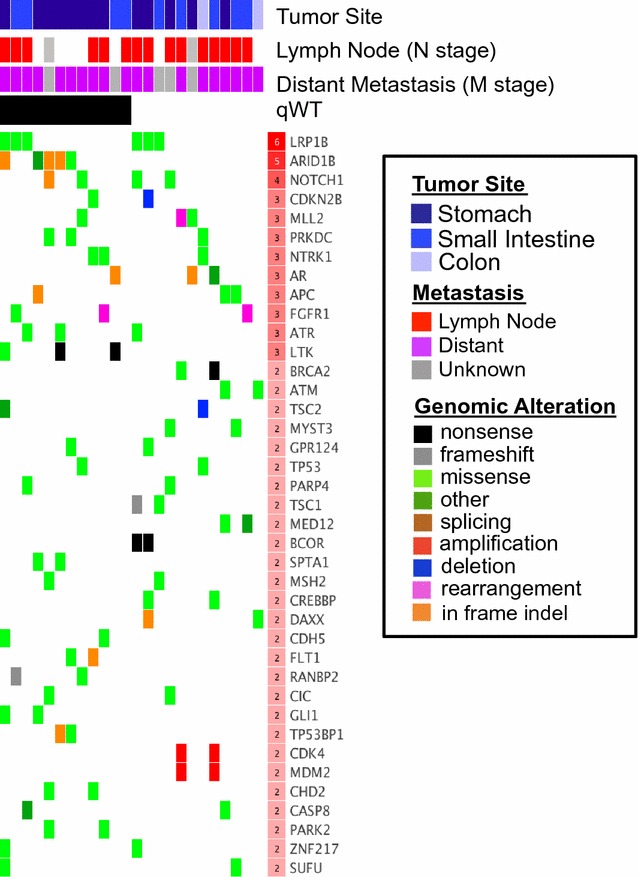 Fig. 2