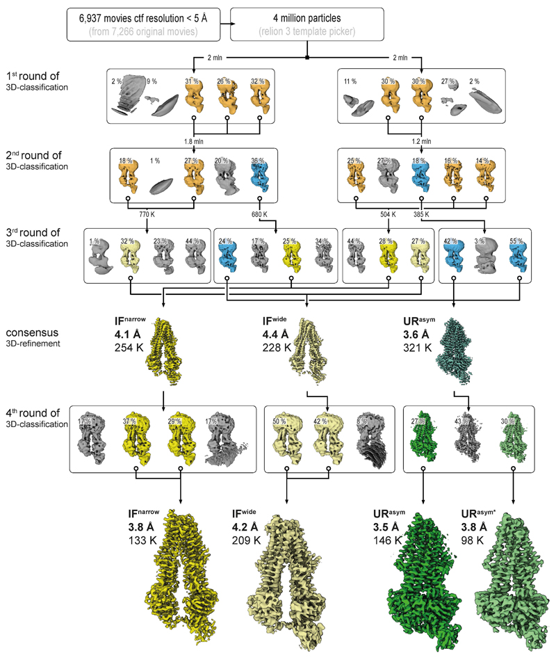 Extended Data Figure 5