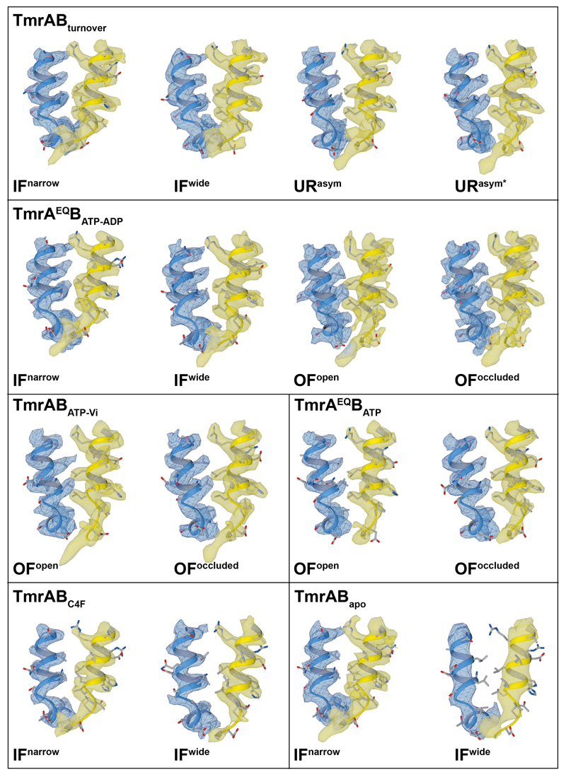 Extended Data Figure 6