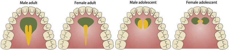 Figure 8.