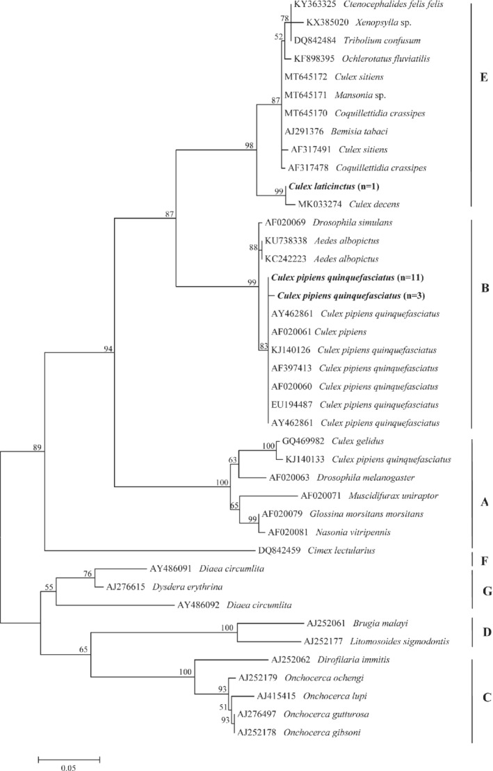 MVE-12524-FIG-0004-b