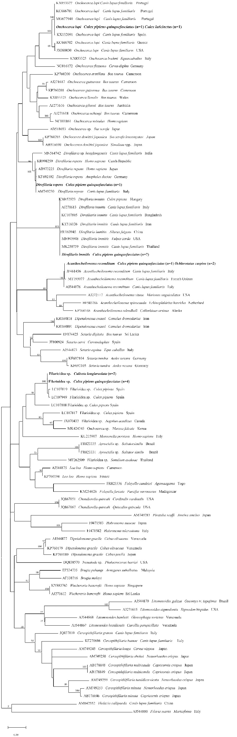 MVE-12524-FIG-0002-b