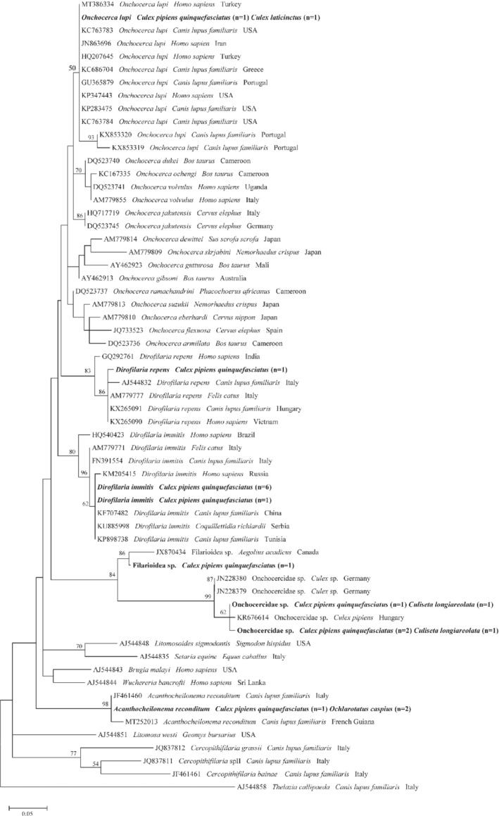 MVE-12524-FIG-0003-b