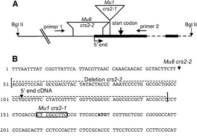 graphic file with name cde069f1.jpg