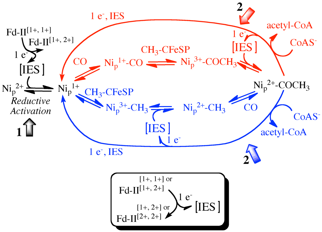 Scheme 1