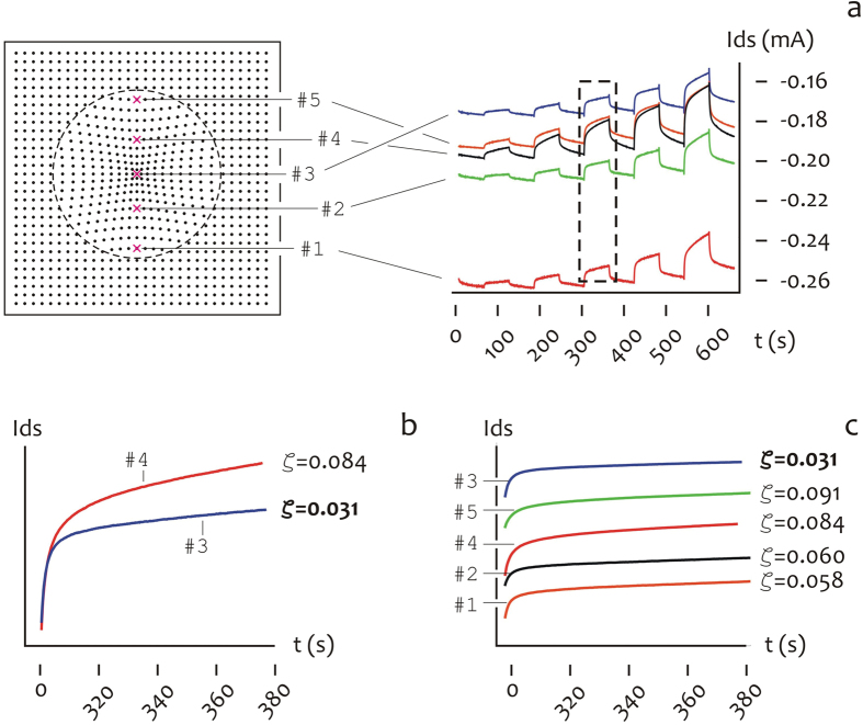 Figure 7