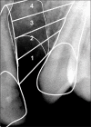 Figure 8