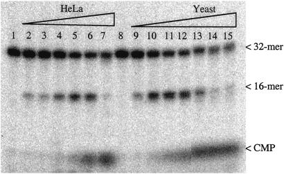 Fig 2.