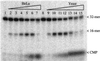Fig 2.