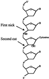 Fig 4.