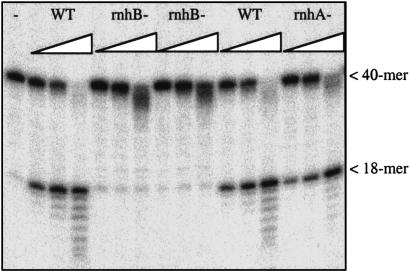 Fig 8.