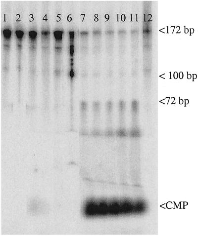 Fig 3.