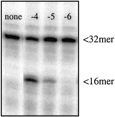 Fig 9.