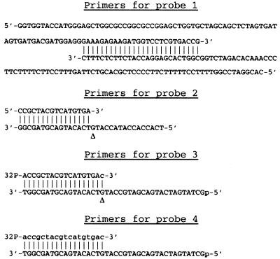 Fig 1.