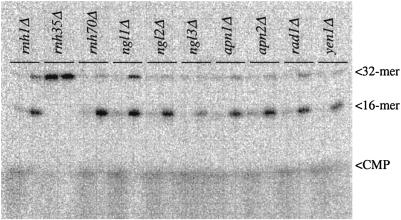 Fig 5.