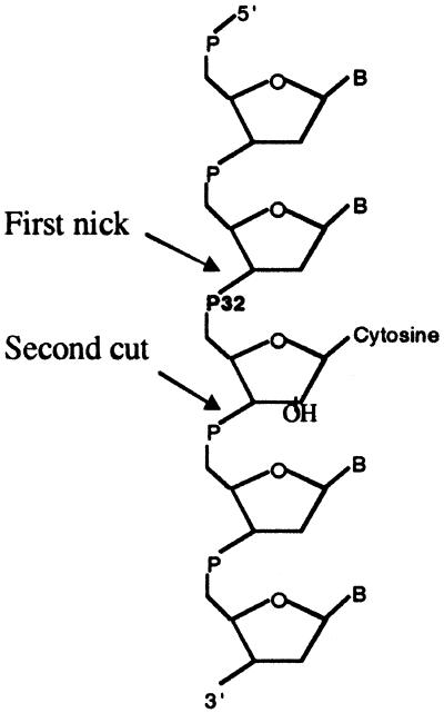 Fig 4.