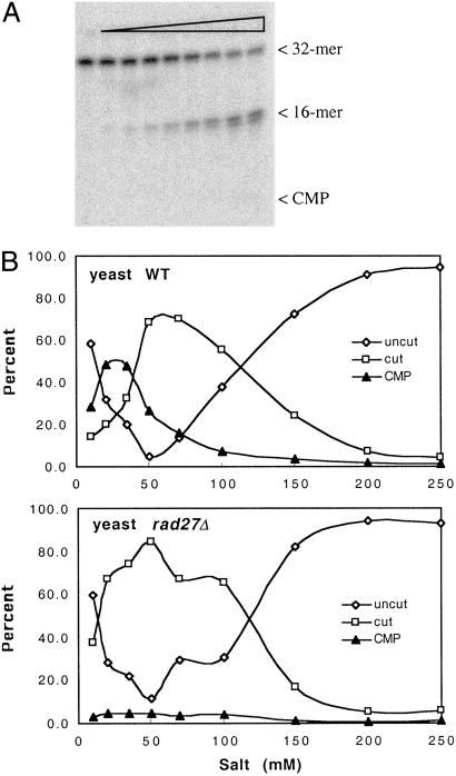 Fig 6.