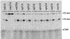 Fig 5.