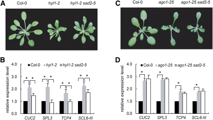 Figure 5.