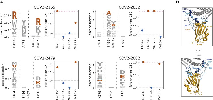 Figure 3