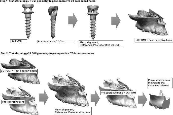 Figure 2. In the first step, the surface model of the orthodontic mini-implant (OMI) obtained from the microcomputed tomography (µCT) data set was aligned with the rough surface model of the OMI obtained from the postoperative computed tomography (CT) data set. This step transforms the µCT-obtained OMI to the coordinates of the postoperative CT data set. In the second step, the geometry of the corresponding half of the maxilla was generated two times, the first time using the preinsertion CT data set and the second time using the postoperative data set. Then, mesh alignment between the two bone geometries (preoperative and postoperative), with the OMI model attached to the postoperative bone geometry, is performed defining the preoperative bone as the reference. This process finally transforms the µCT-obtained OMI into the coordinates of the preoperative CT data set. Once the final coordinates of the OMI model are obtained, the OMI model is saved with the new position, the preoperative hemimaxilla is trimmed to the volume of interest, and both resulting geometries (OMI and bone) are imported into the final finite element model in the Mechanical Finder.