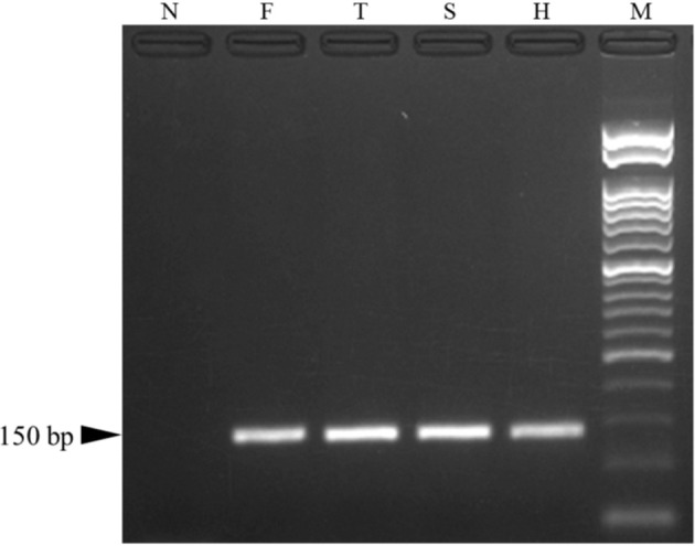 Fig. 10.